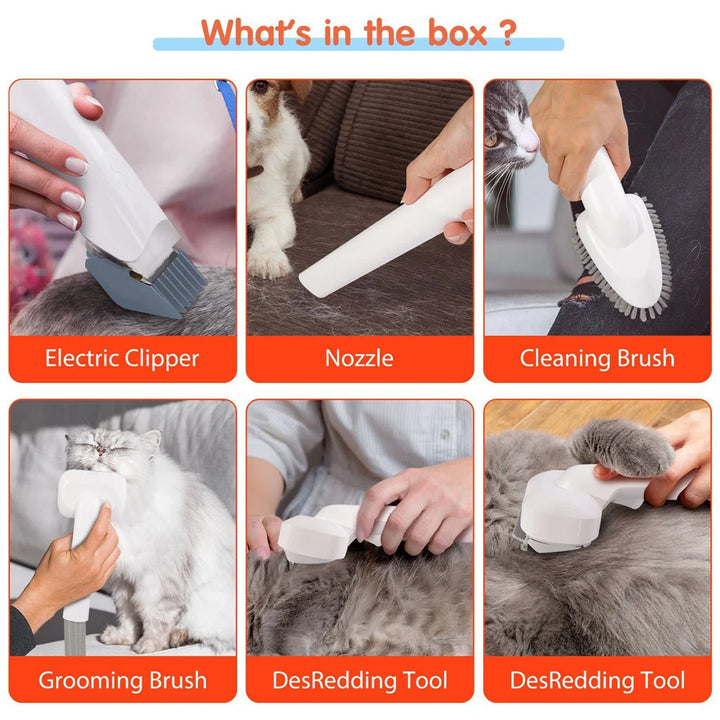 Kit de Toilettage Premium avec Aspirateur 10 kPa pour Chiens et Chats - HautePattes