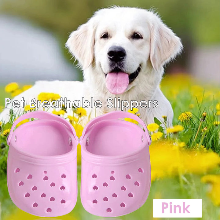 Pantoufles Crocs d’été respirantes pour chien - HautePattes