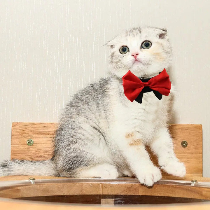 Nœud papillon pour chien & chat – Le style qui dit “je t’aime”