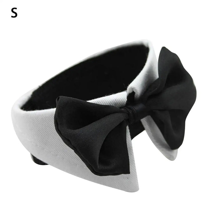 Nœud papillon pour chien & chat – Le style qui dit “je t’aime”