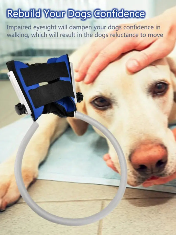 Harnais pour chien aveugle : voir sans voir, avancer sans peur