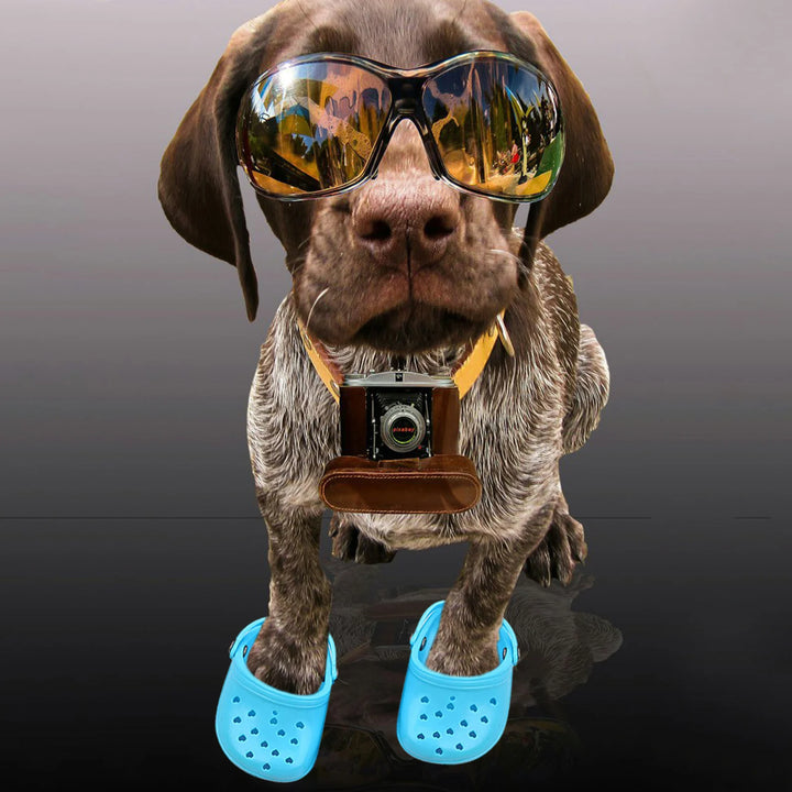 Pantoufles Crocs d’été respirantes pour chien - HautePattes