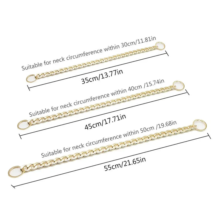 Collier doré chien puissant : sobre, statutaire, taillé pour les vrais liens