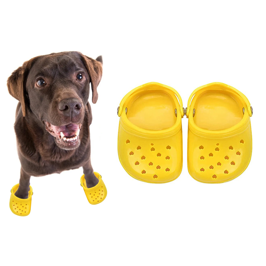 Pantoufles Crocs d’été respirantes pour chien - HautePattes