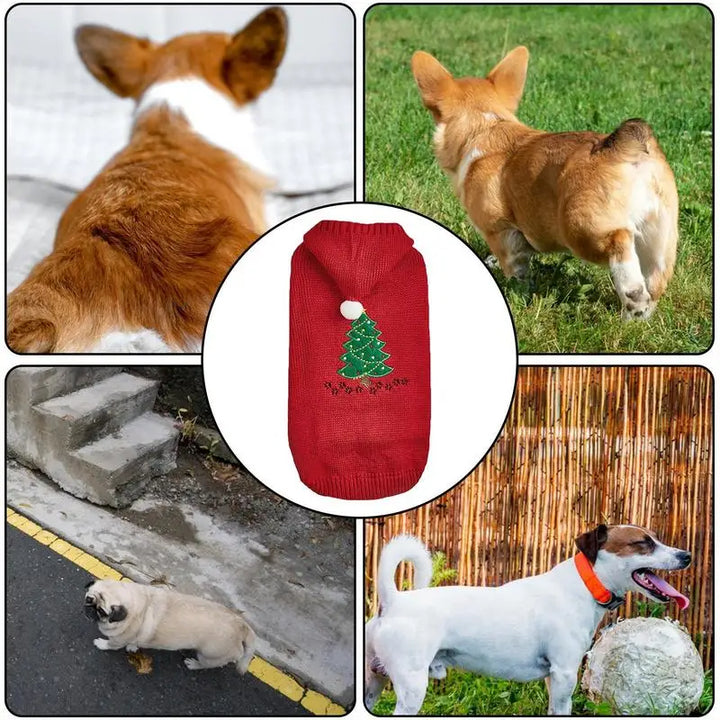 Pull de Noël chien avec bonnet assorti pour un moment magique