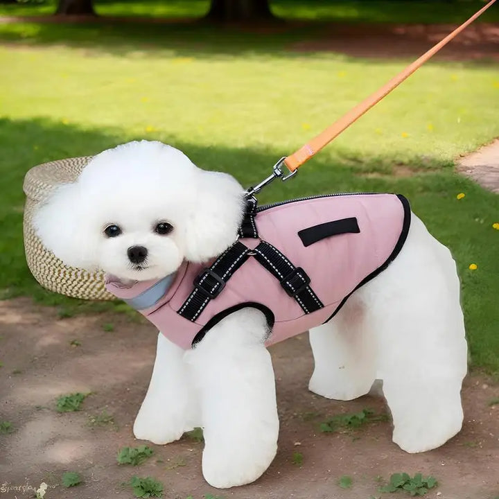 Manteau imperméable doublé pour chien stylé