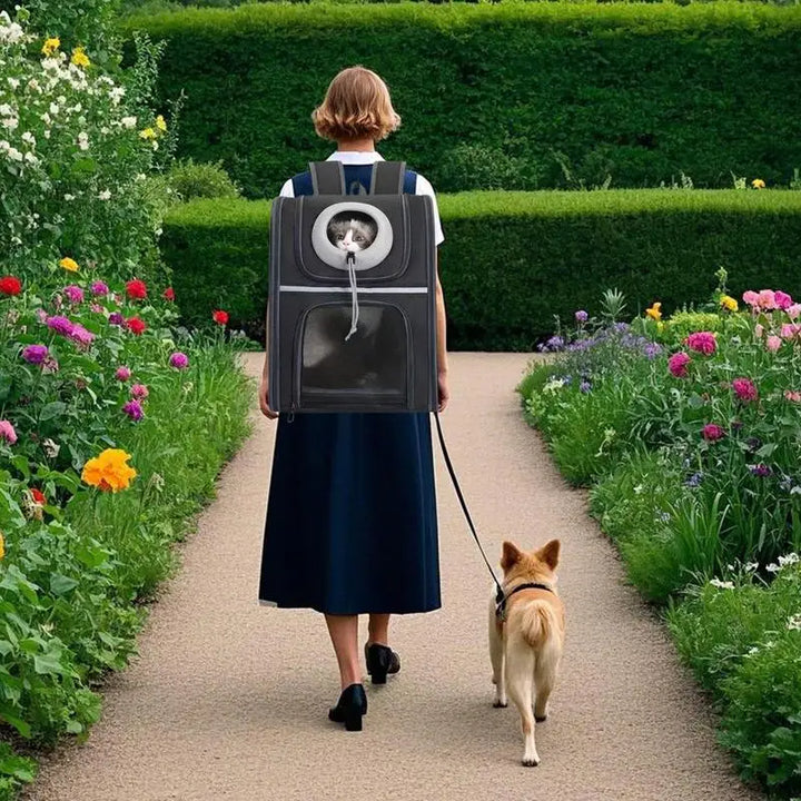 Sac à dos chat & petit chien : confortable, pliable et toujours prêt à partir