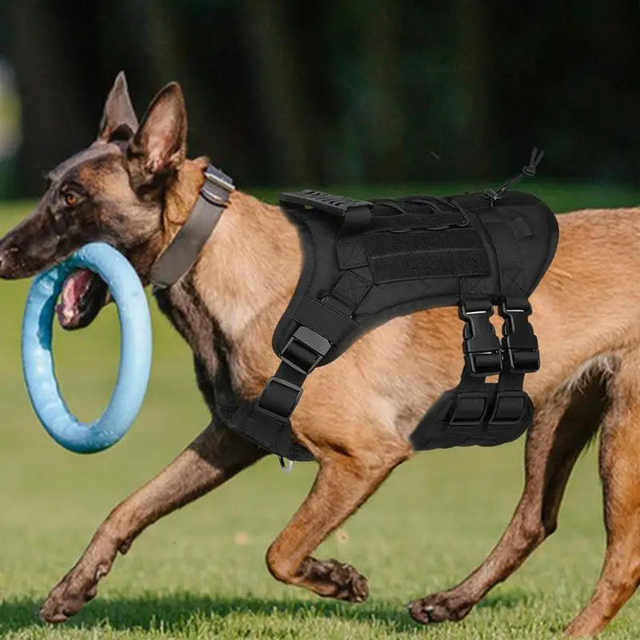 Harnais réglable chien puissant – Force respectée liberté guidée