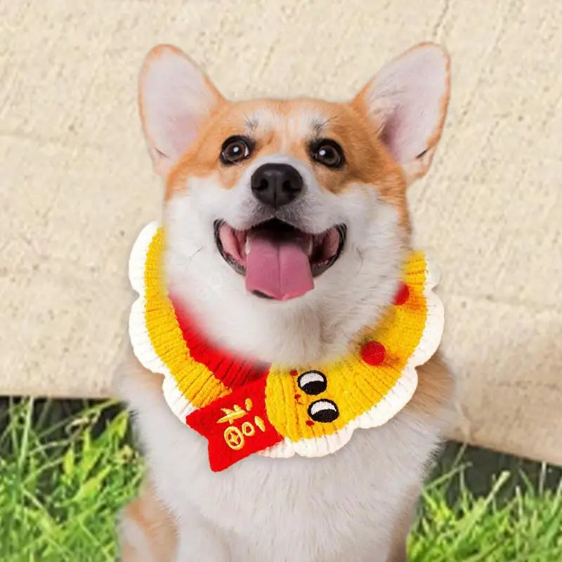 Collerette tricoté chien chat : accessoire doux & complice à porter fièrement