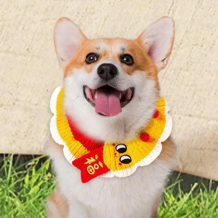 Collerette tricoté chien chat : accessoire doux & complice à porter fièrement