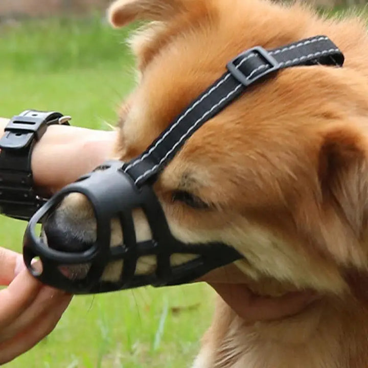 Muselière douce pour chien sensible aimé et protégé