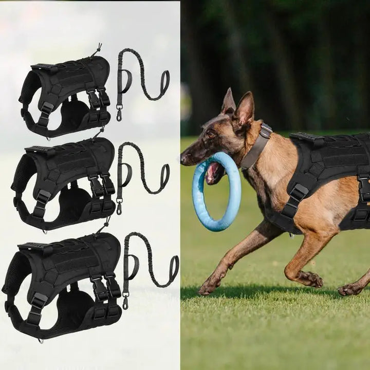 Harnais réglable chien puissant – Force respectée liberté guidée