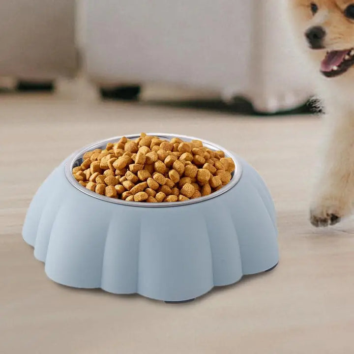 Gamelle inclinée chat – Manger sainement, tout simplement