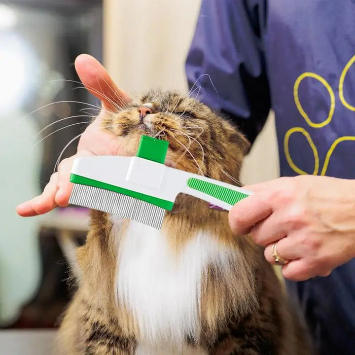 Brosse toilettage chat : douceur, soin et lien renforcé