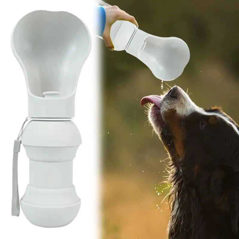 Gourde Pliable pour Chien - HautePattes