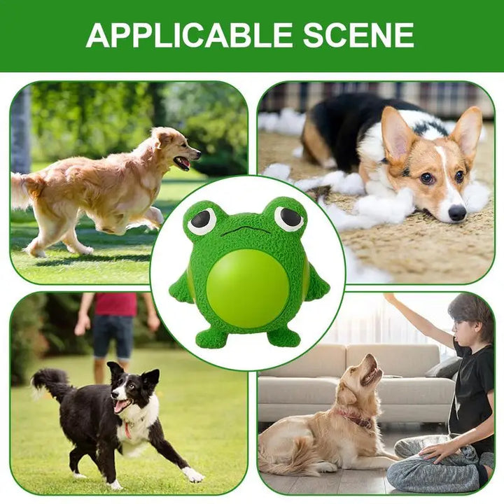 Jouet Couineur Mignon pour Chien - HautePattes