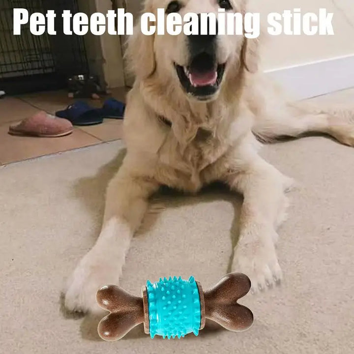 Jouet à mâcher soin dentaire pour Chien - HautePattes