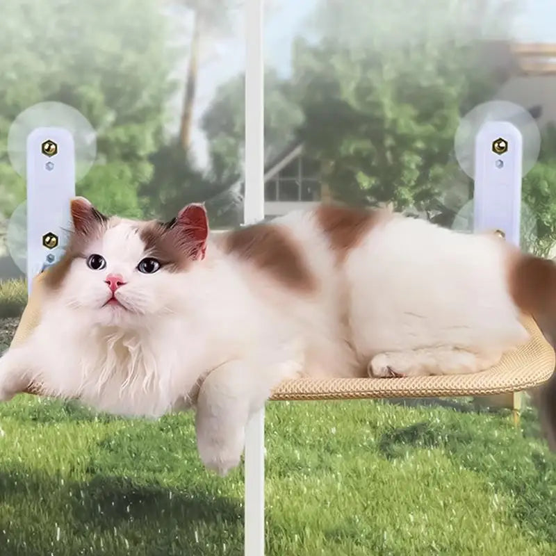 Hamac de fenêtre pour chats - HautePattes