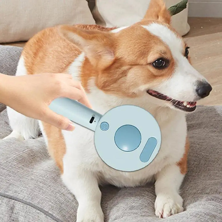 Brosse vapeur chien chat : l’art du toilettage devenu tendresse
