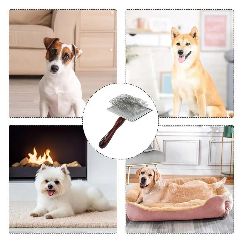 Peigne brosse chien chat bois : soin calme & complicité