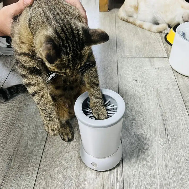 Lave-Pattes Automatique pour Animaux - HautePattes