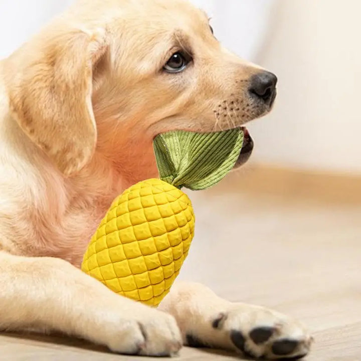 Jouet à mâcher pour chien en forme d’ananas - HautePattes