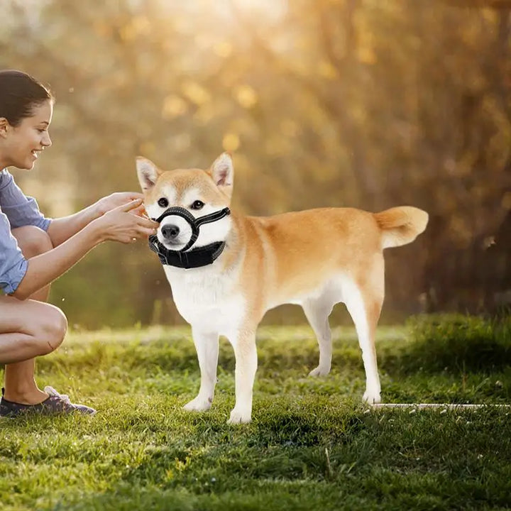 Muselière réfléchissante pour chien : sécurité nocturne & confort absolu