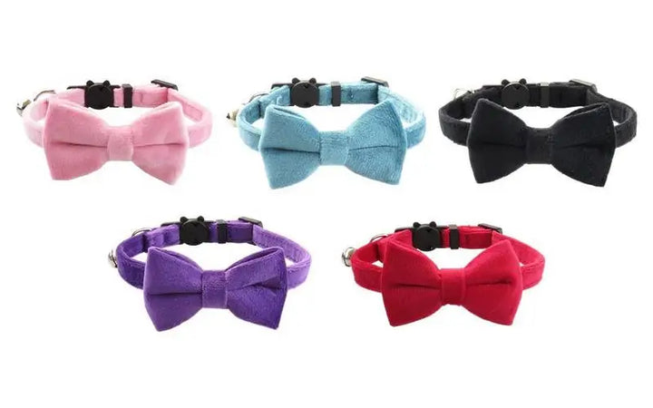 Collier nœud papillon chien & chat : chic discret, amour visible, souvenirs précieux