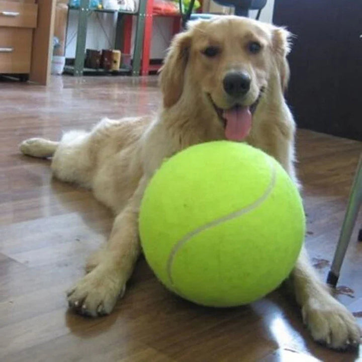 Balle de tennis géante pour chien - HautePattes