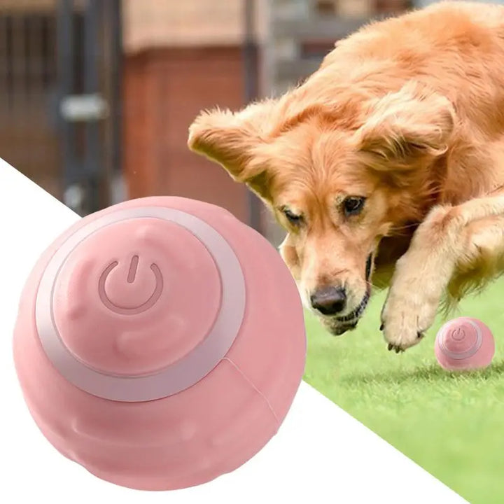 Balle Interactive Intelligente pour Chien - HautePattes