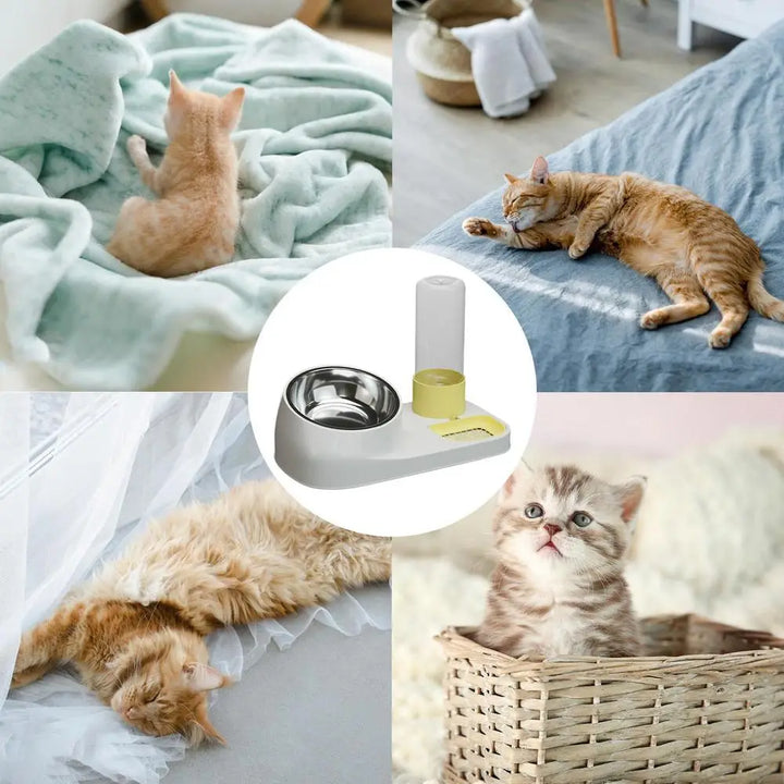 Gamelle de Nourriture et d’Eau pour Chat – Acier Inoxydable - HautePattes