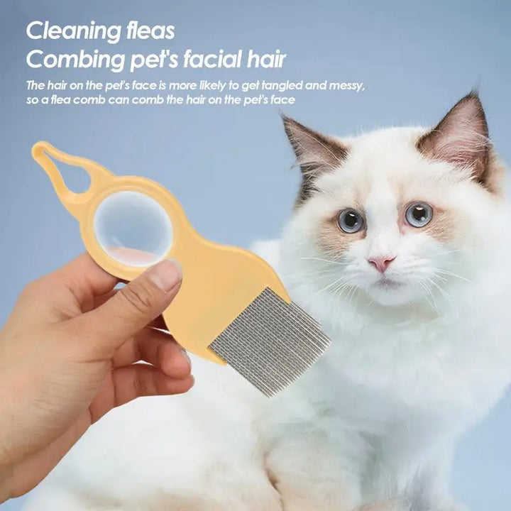 Peigne pour chat avec loupe intégrée : voir mieux, aimer plus