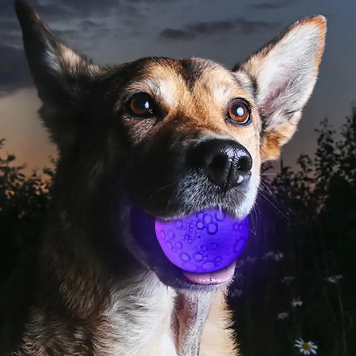 Balle Interactive Lunaire pour Chien - HautePattes