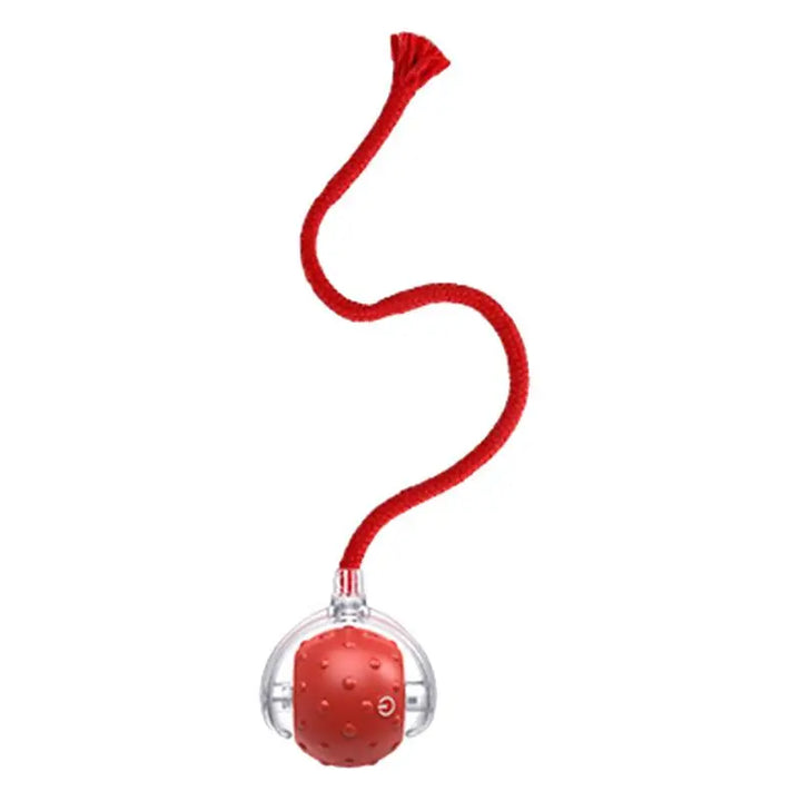 Balle de jouet interactive pour chat chien recharge USB - HautePattes