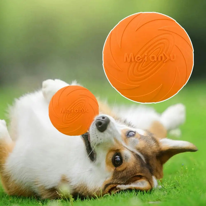 Frisbee Ultra-Résistant pour Chiens - HautePattes