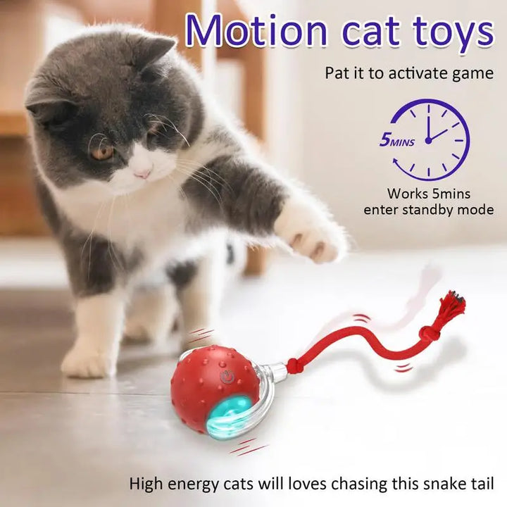Balle de jouet interactive pour chat chien recharge USB - HautePattes