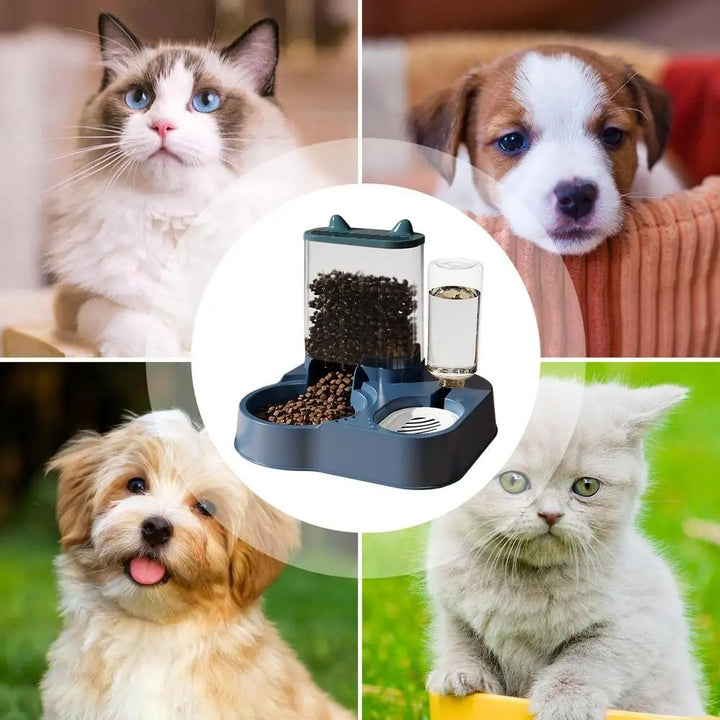 Distributeur Automatique 2-en-1 pour Nourriture & Eau - HautePattes