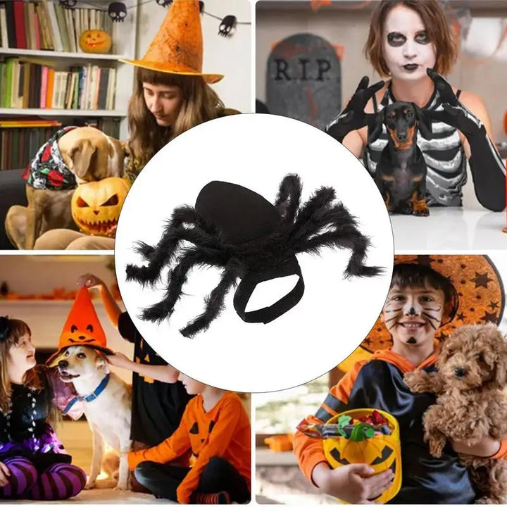 Costume Halloween araignée – Pour chat, chiot ou petit chien