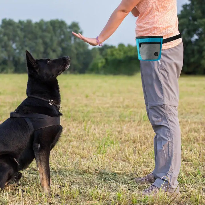 Sac friandises pour chien : dressez mieux, réagissez vite