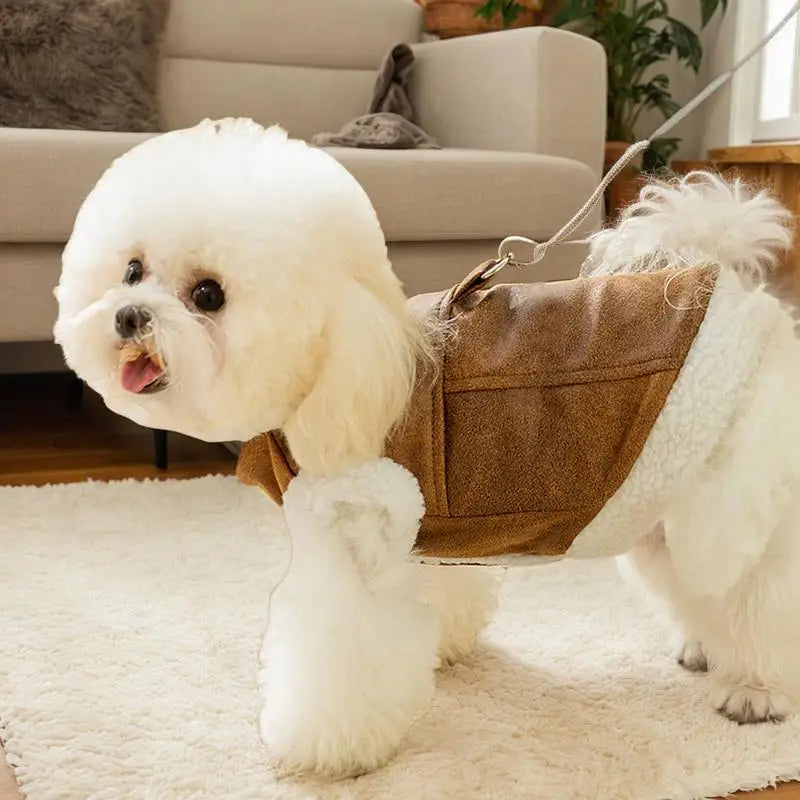 Pull d’Hiver pour Chiens – Confort & Chaleur avec Trou pour Laisse - HautePattes