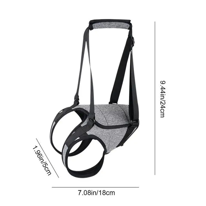 Harnais arrière pour chien âgé soutien doux et respectueux