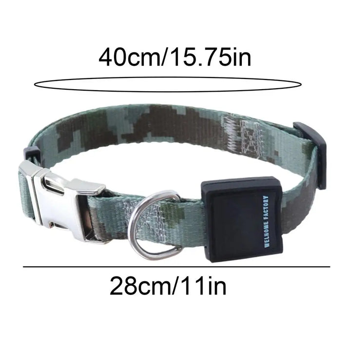 Collier pour chien puissant – Résistance, confort, respect du lien