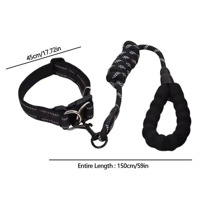 Collier réfléchissant chien – Pour les balades même dans l’ombre