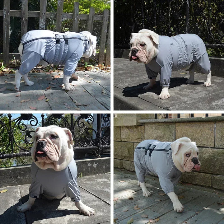 Imperméable 4 pattes pour chien – Confort, style & protection
