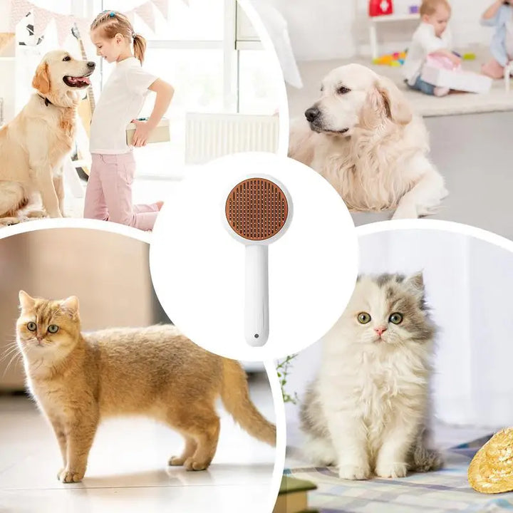 Brosse de Massage & Lime à Ongles Électrique 2-en-1 - HautePattes