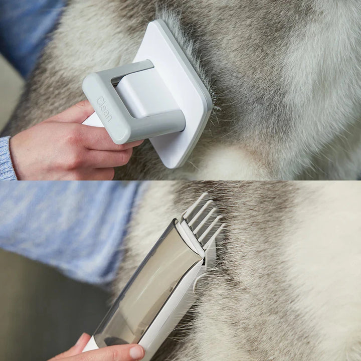 Kit de Toilettage Premium Aspirateur Ultra-Silencieux (2L) pour Chiens & Chats - HautePattes