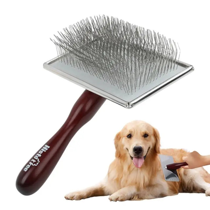 Peigne brosse chien chat bois : soin calme & complicité
