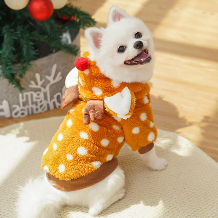 Costume renne pour chien : chaleur, douceur, photos craquantes