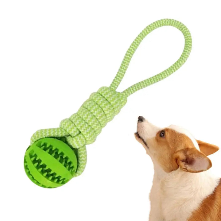 Balle à Corde Intelligente pour Chien - HautePattes