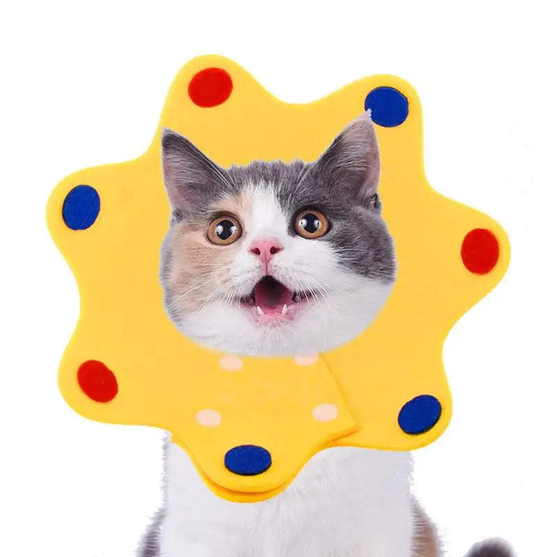 Collerette pour chat couronne en feutre - HautePattes